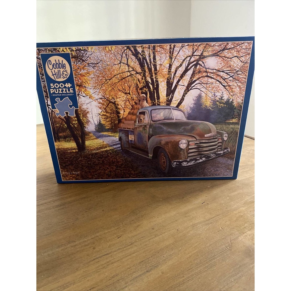 Joyride 500 Piece Jigsaw Puzzle